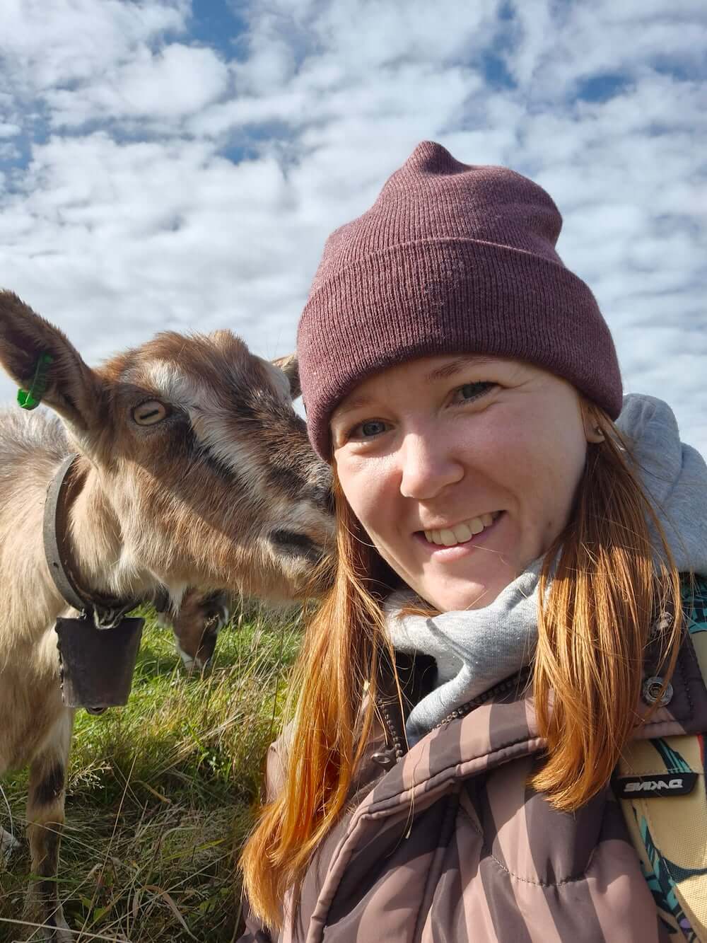 Коза на гірській стежці